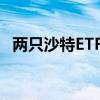 两只沙特ETF复牌后继续冲高 双双涨超5%