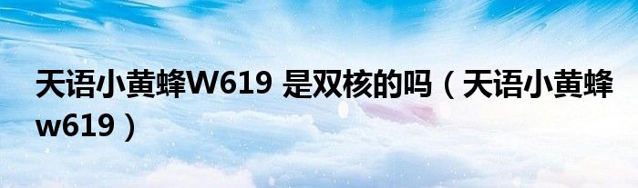 天语小黄蜂w619有黑色后盖（天语小黄蜂w619迎春版）