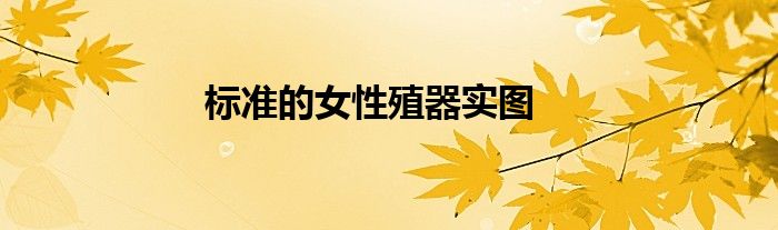 女的标准是什么（女性标准尺寸对照表）