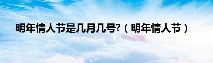 明年情人节演唱（明年情人节）