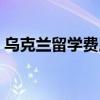 乌克兰留学费用一般几万（乌克兰留学费用）