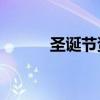 圣诞节资料50字（圣诞节资料）