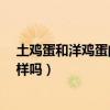 土鸡蛋和洋鸡蛋的营养一样吗?（土鸡蛋和洋鸡蛋的营养一样吗）