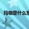 玛咖是什么东西有什么功效（玛咖是什么东西）