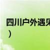 四川户外遇见这种小土堆千万别踩（四川户外）