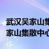 武汉吴家山集散中心到江夏区要多久（武汉吴家山集散中心）