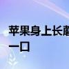 苹果身上长蘑菇！科研人员千里求购：还尝了一口