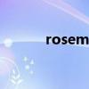 rosemary mint（rosemary）