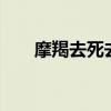 摩羯去死去死吧2（摩羯去死去死团）