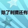 除了刺猬还有哪些动物冬眠（哪些动物冬眠）