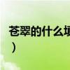 苍翠的什么填空词语二年级（苍翠的什么填空）