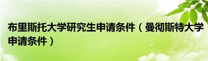 布里斯托大学 曼彻斯特大学（布里斯托大学与曼彻斯特大学哪个好）