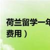 荷兰留学一年费用大概多少钱（荷兰留学一年费用）