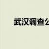 武汉调查公司怎么样（武汉调查公司）