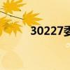 30227委托业务费（委托业务费）