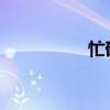 忙碌可能是愚蠢的表象