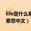life是什么意思中文翻译怎么读（life是什么意思中文）
