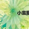 小蛮腰Mc小漠（小蛮腰mc）