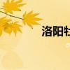洛阳牡丹花酒（洛阳牡丹花）