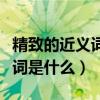 精致的近义词是什么意思是什么（精致的近义词是什么）