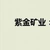 紫金矿业：拟实施2024年度中期分红