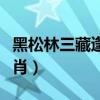 黑松林三藏逢魔的故事（黑松林三藏逢魔猜一肖）