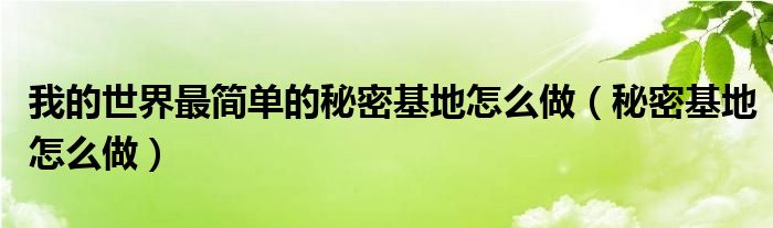 我的世界秘密雨（我的世界:秘密基地）