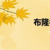 布隆符文推荐（布隆符文）