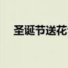 圣诞节送花合适嘛（圣诞节送花合适吗）