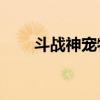 斗战神宠物10洞（斗战神灵宠宝匣）