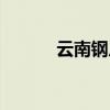 云南钢厂集体发声7月不再跌价