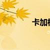 卡加梅当选连任卢旺达总统