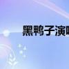 黑鸭子演唱会2024（黑鸭子演唱会）