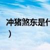 冲猪煞东是什么意思啊（冲猪煞东是什么意思）