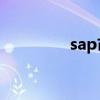 sap市场占有率（占有率）