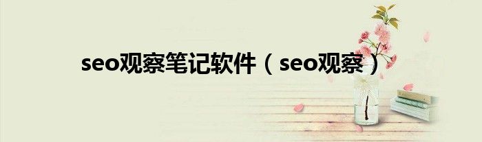 seo笔记分析（seo观察笔记软件）