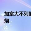 加拿大不列颠哥伦比亚省超400处山火持续燃烧