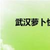武汉萝卜快跑涨价 与网约车价格持平