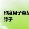 印度男子草丛如厕时遭蟒蛇袭击：直接被缠住脖子