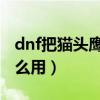 dnf把猫头鹰丢商店了 怎么办（dnf猫头鹰怎么用）