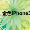 金色iPhone5是怎么回事（金色iphone5s）