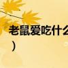 老鼠爱吃什么食物简笔画（老鼠爱吃什么食物）
