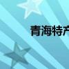 青海特产小吃袋（青海特产小吃）