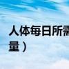 人体每日所需热量如何计算（人体每日所需热量）