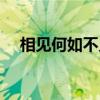 相见何如不见时意思（相见何如不见时）