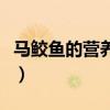 马鲛鱼的营养价值和做法（马鲛鱼的营养价值）