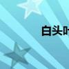 白头叶猴的天敌（白头叶猴）