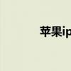 苹果ipad2021（苹果ipad2）