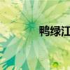 鸭绿江发生2024年第1号洪水