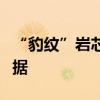 “豹纹”岩芯样本或为火星远古微生物的新证据